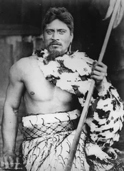 Taitua en Taumaranui, Kings Country, 1885